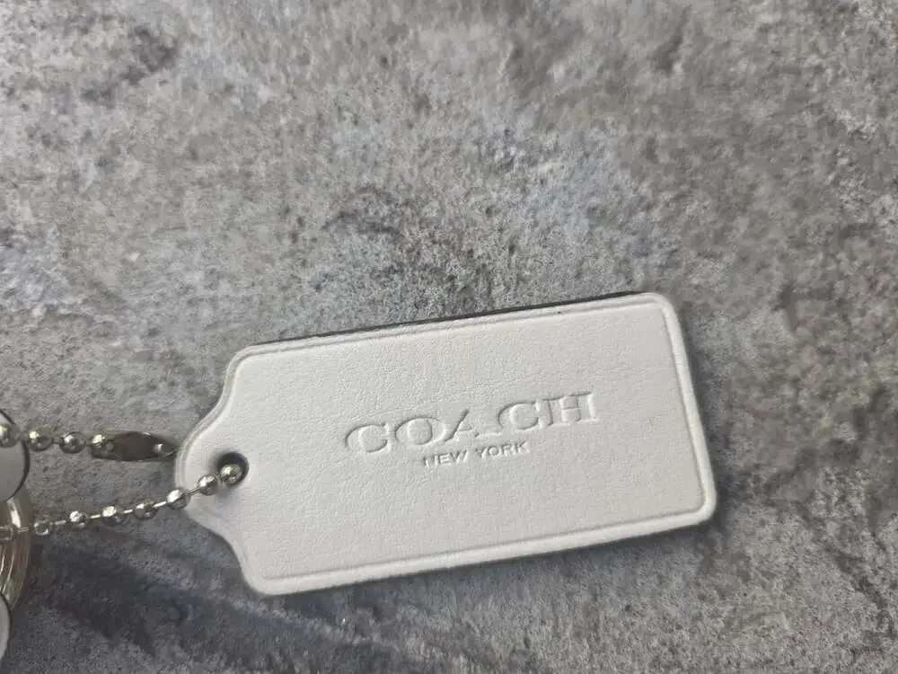 Coach authentic file